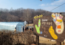 성남시 율동공원 맨발 황톳길 겨울철에도 문 연다