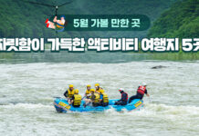 5월 가볼 만한 곳…짜릿함이 가득한 액티비티 여행지 5곳