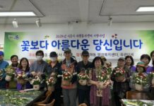 자원봉사지원단, 어르신 정서 안정 원예 프로그램 추진