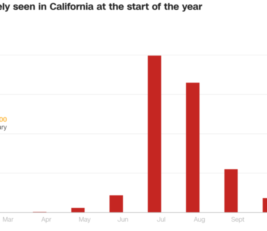 상 변화가 키운 불씨, 선제적 대응이 중요하다!