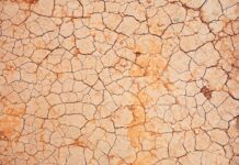 “자꾸 혀를 깨물고 입안이 헐어요”…초여름 구강 건강이 보내는 작은 신호들 a crack in the ground that looks like it has been cracked