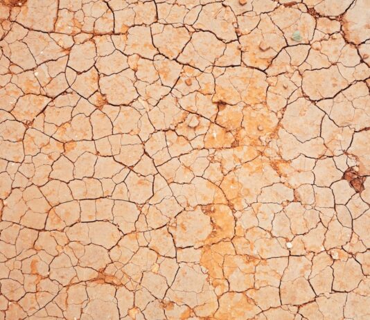 “자꾸 혀를 깨물고 입안이 헐어요”…초여름 구강 건강이 보내는 작은 신호들 a crack in the ground that looks like it has been cracked