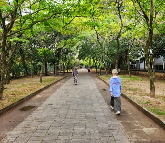 우울증을 걷어차는 걸음: 마음의 안개를 걷어내는 ‘워킹 테라피’ Two people walking down a path in a park