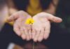 마음 챙김의 일상화, 건강한 정신을 위한 새로운 루틴 selective focus photography of woman holding yellow petaled flowers