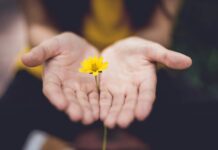마음 챙김의 일상화, 건강한 정신을 위한 새로운 루틴 selective focus photography of woman holding yellow petaled flowers