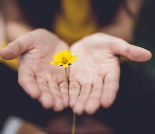마음 챙김의 일상화, 건강한 정신을 위한 새로운 루틴 selective focus photography of woman holding yellow petaled flowers